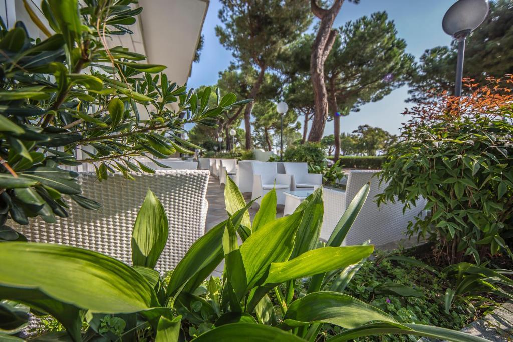 Ciccio Hotel Misano Adriatico Exteriér fotografie